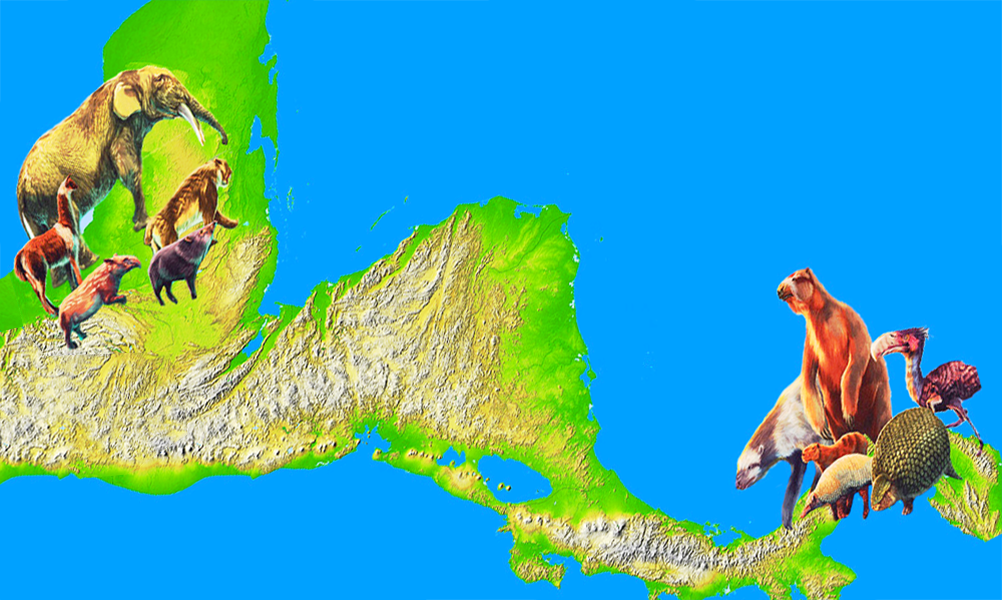 razmjena životinja na Panamskoj prevlaci