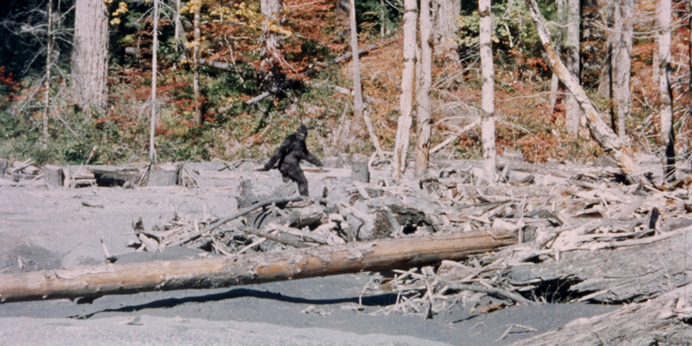 Bigfoot